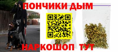 дурь Можга