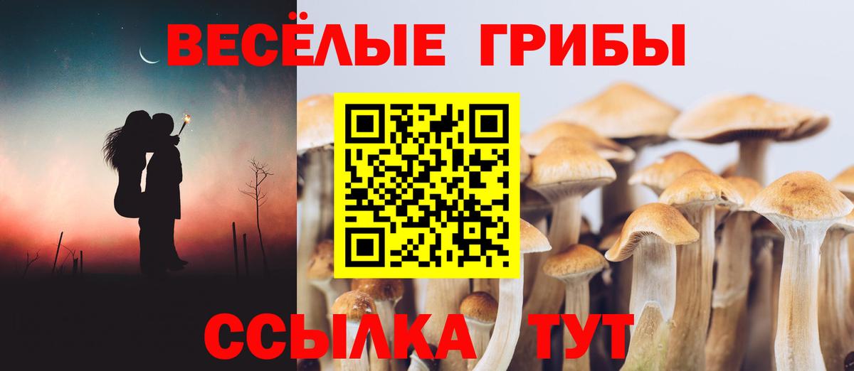 COCAIN  ГАШИШ  Чапаевск  Конопля  Вход с VPN  Меф   Купить наркотик 